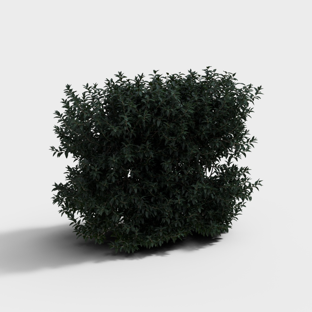 现代绿植绿篱灌木-灌木绿植3D模型