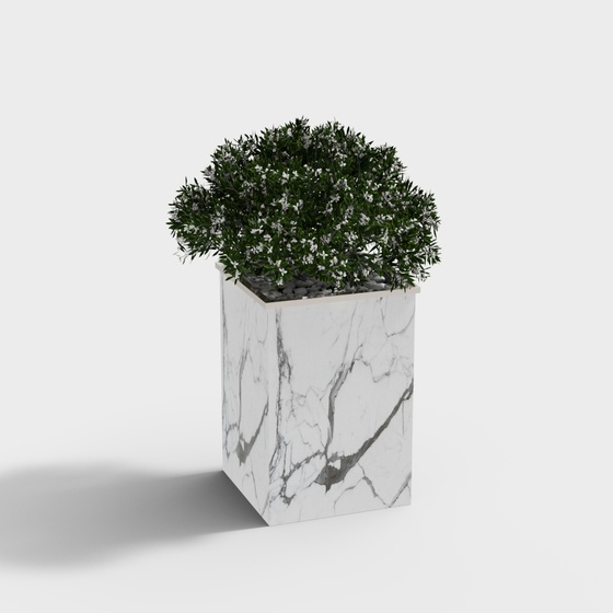 Modern Plants,Plants,Gray