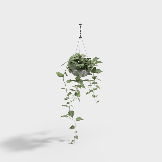 Chic Black Hanging Basket for Stylish Interiors