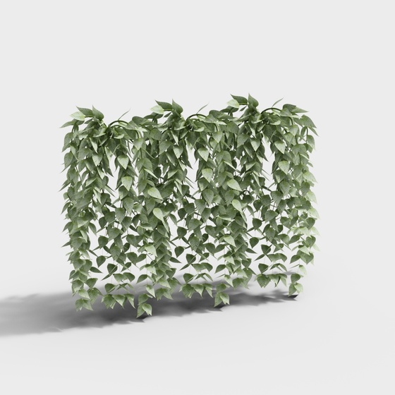 Modern Cafe 6-Plant Ornaments