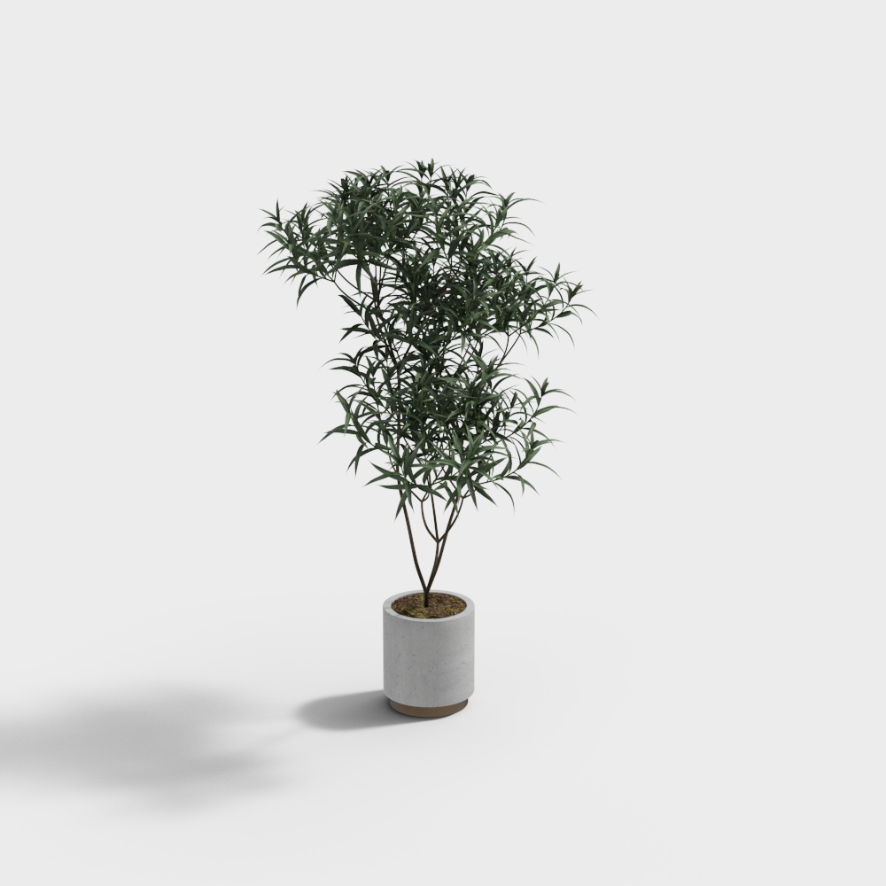 现代-植物盆栽组合3D模型