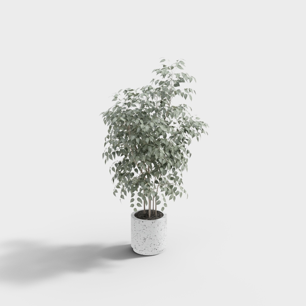 现代沙发椅-盆栽
