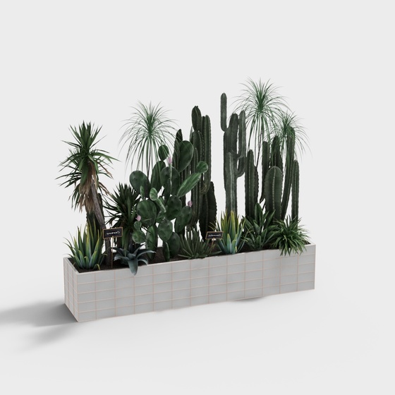 Modern potted bonsai-cactus