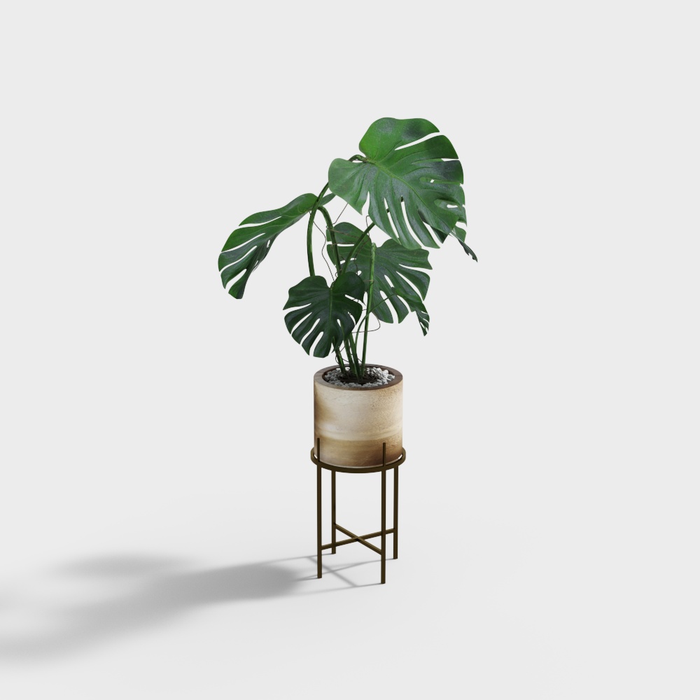 现代植物盆栽-植物3D模型