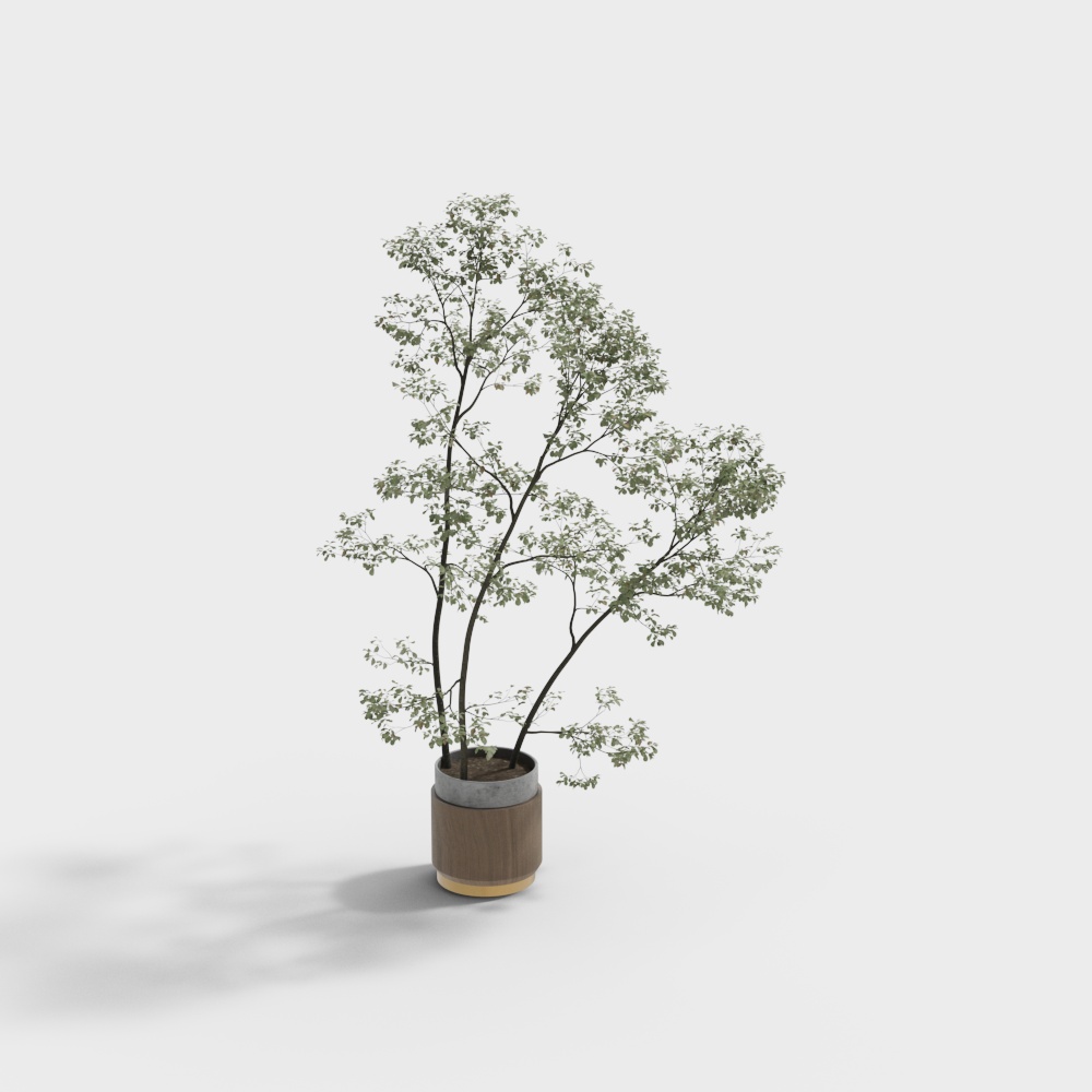 现代大植物盆栽组合3D模型
