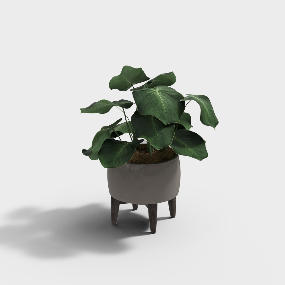 现代绿植仙人掌盆栽3D模型