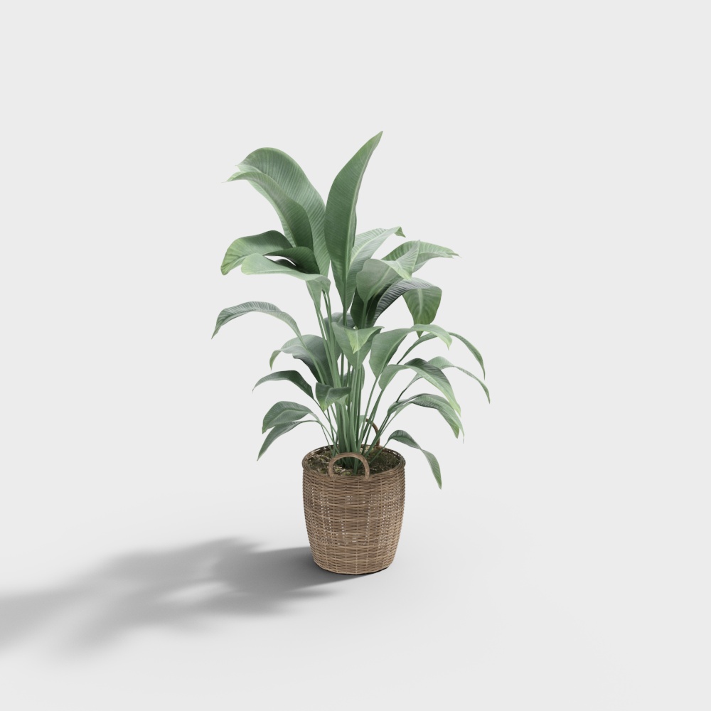 KB-264970绿植3D模型