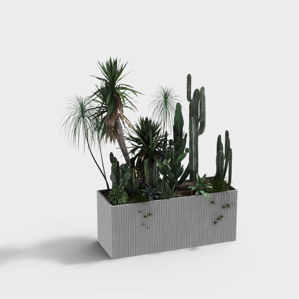 现代绿植仙人掌盆栽-组合3D模型