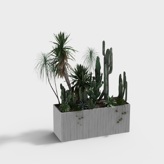 Luxury Plants,Plants,Gray