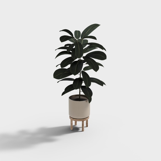 Modern potted green plants
