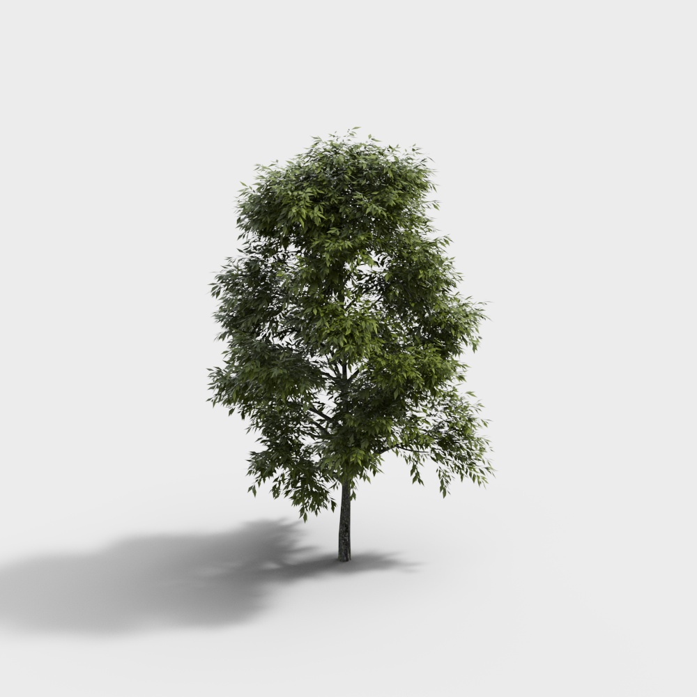 现代绿植景观树3D模型