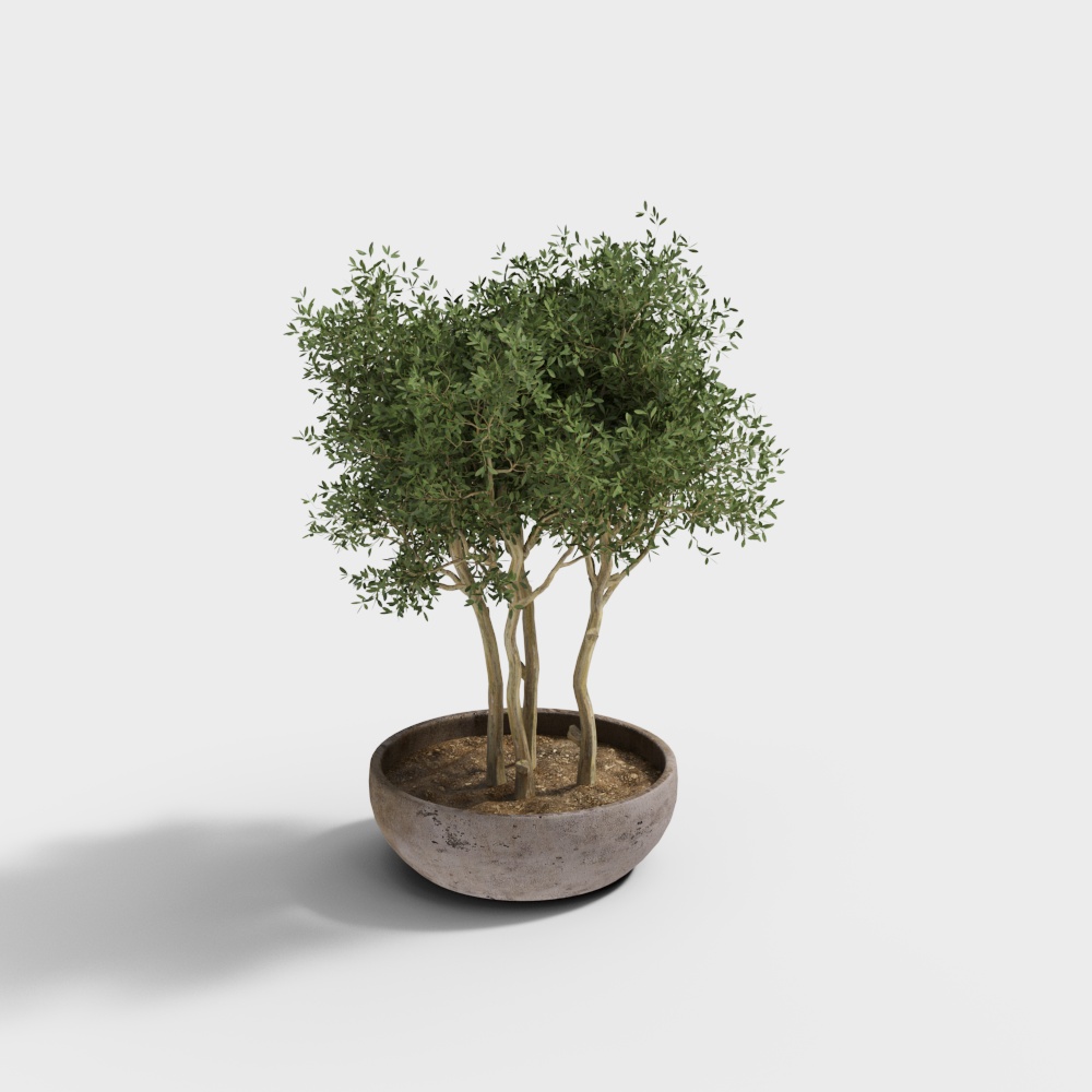 绿植盆栽摆件
