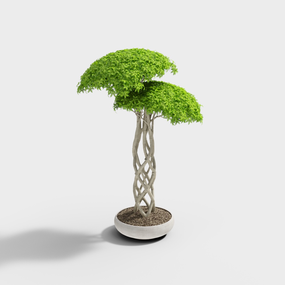 室外盆栽盆景3D模型