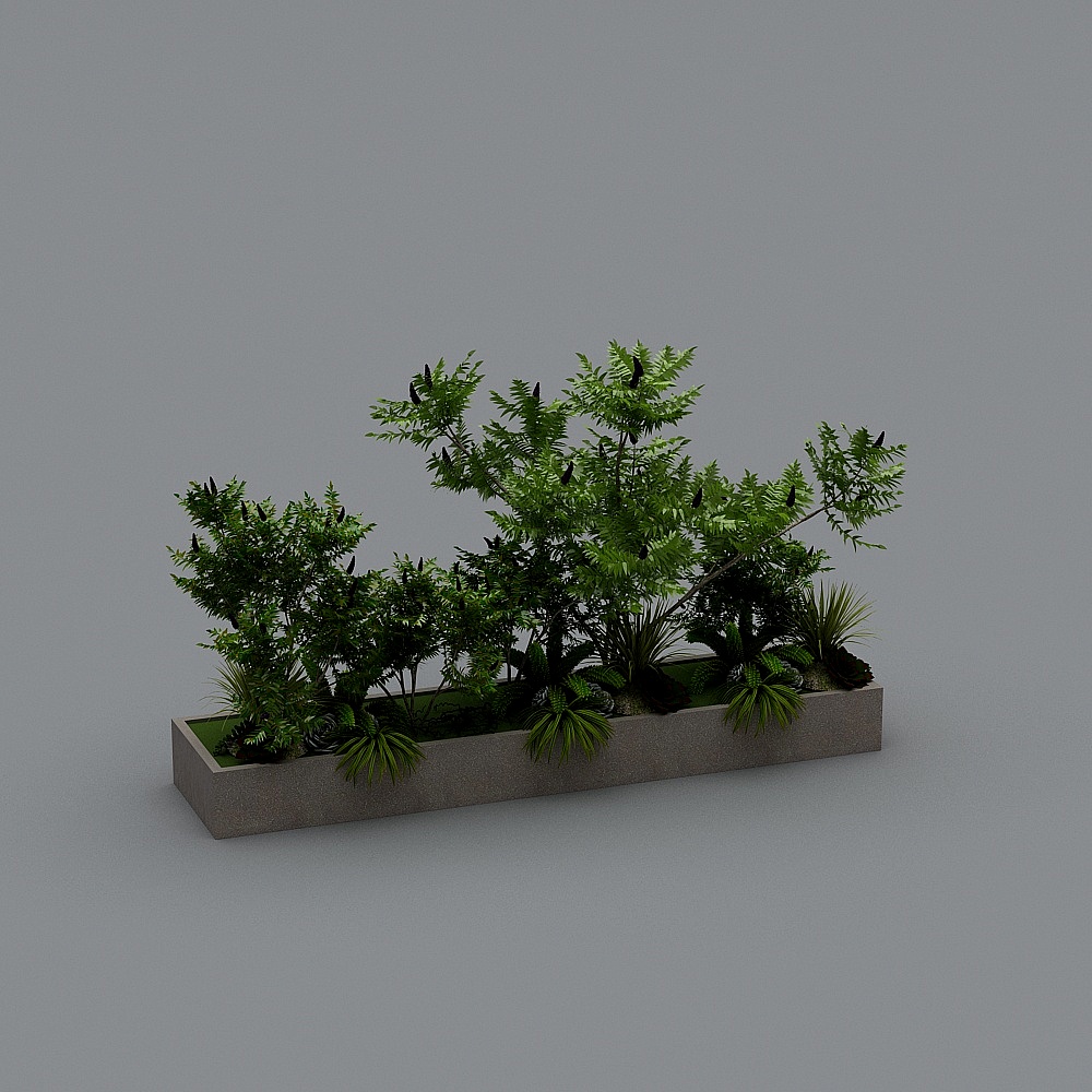 户外植物-143D模型