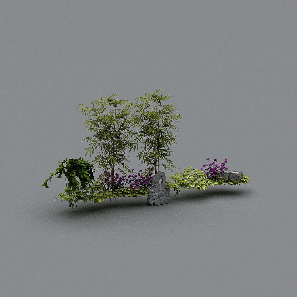 植物1