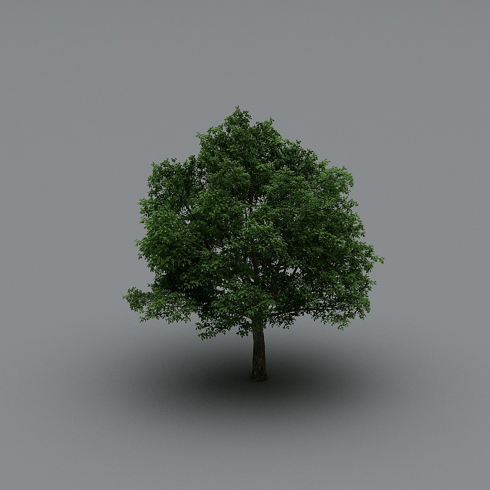 鸟瞰树4-元素3D模型