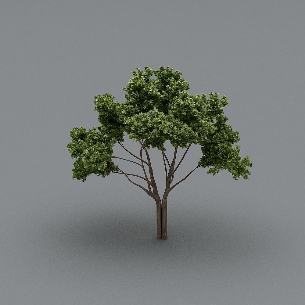 树6.0-YB3D模型