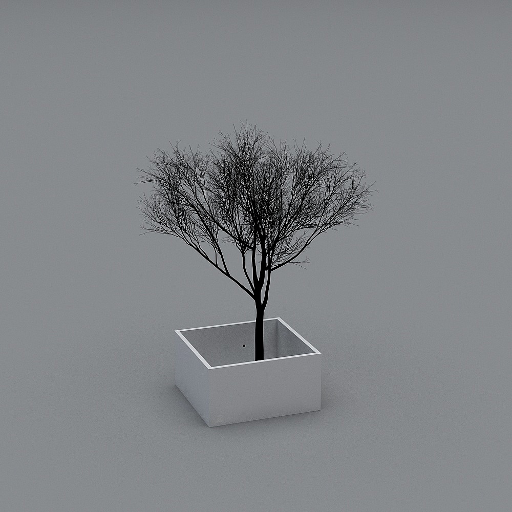 树3D模型