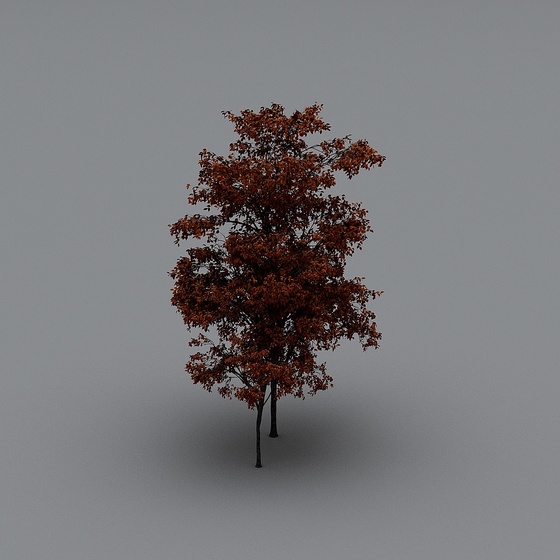 008 tree