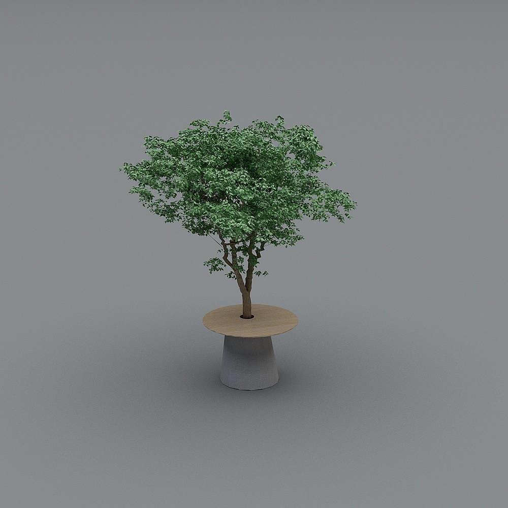 树