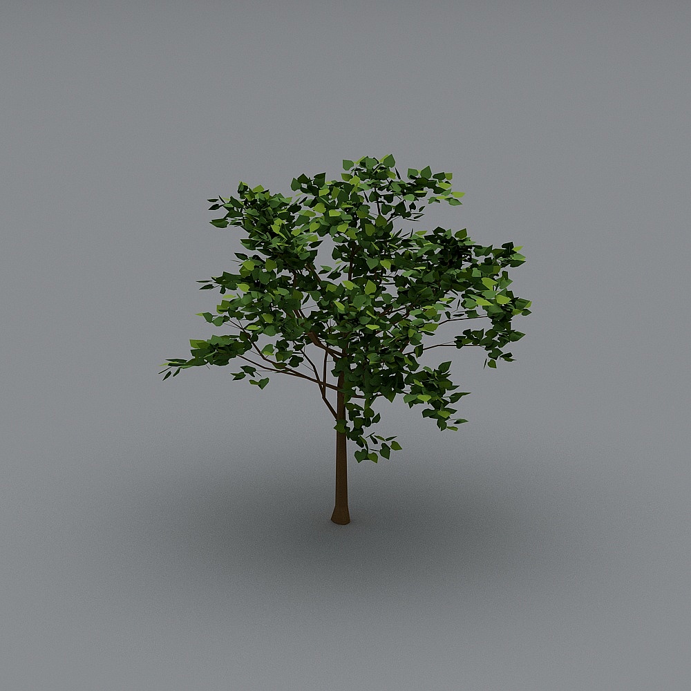 树3D模型