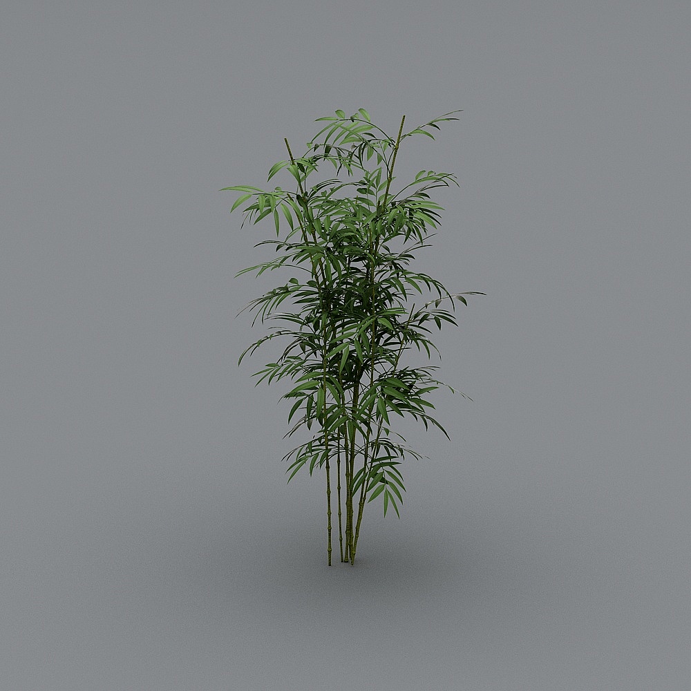 竹子3D模型