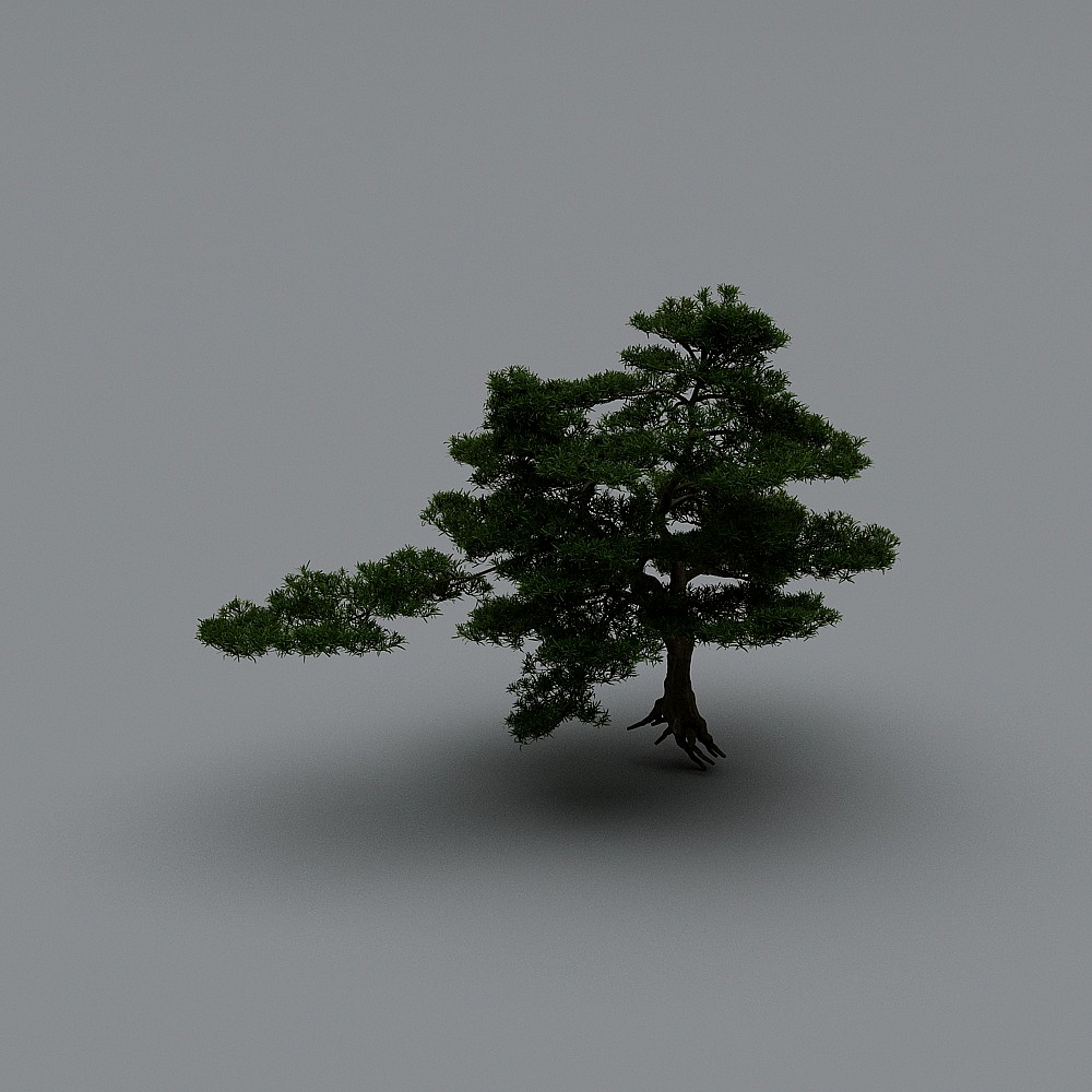 新中式景观小品1-松树3D模型