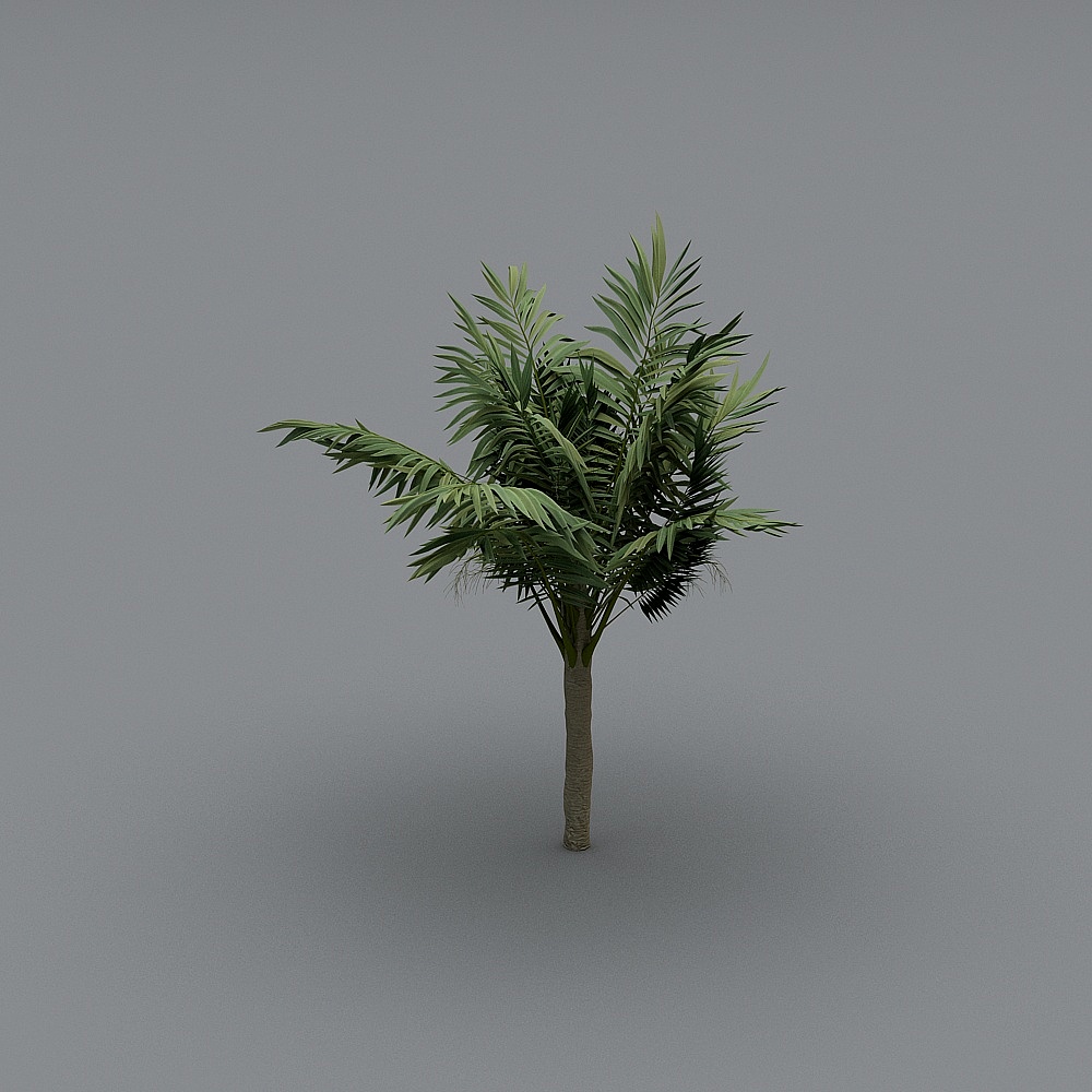 户外-植物001-XS3D模型