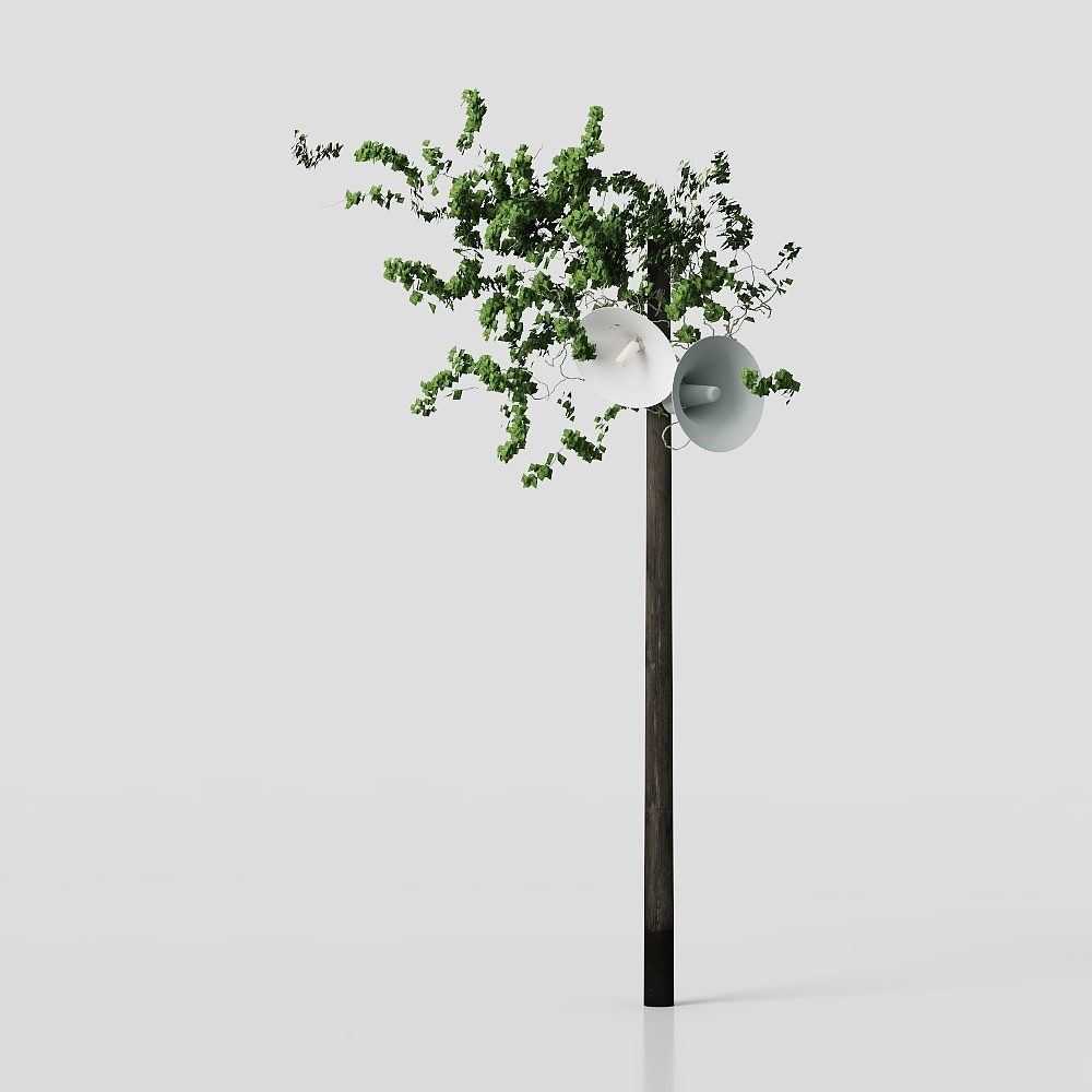 灯杆植物