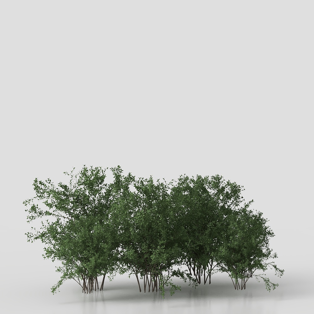 植物83D模型