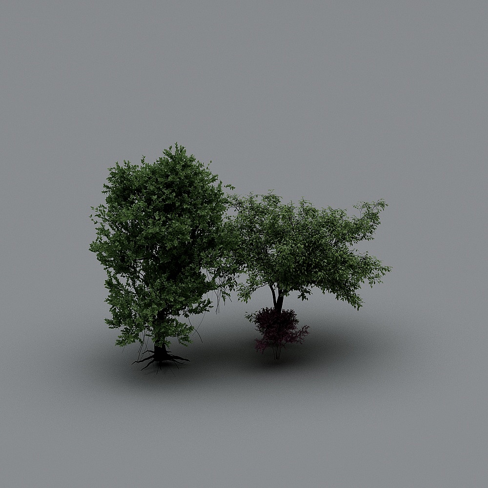 植物93D模型