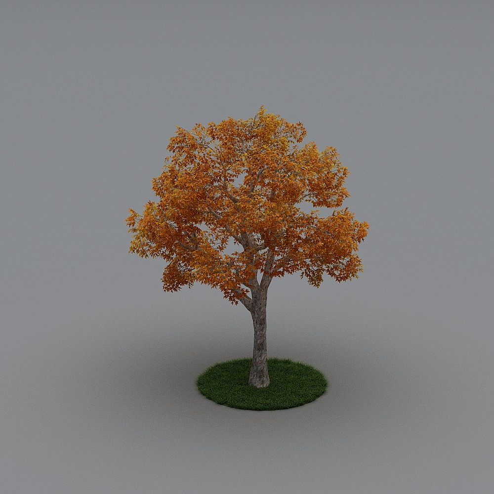 户外植物-153D模型