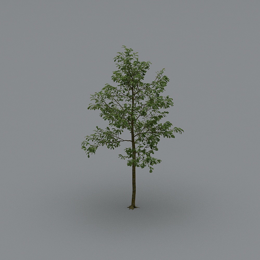 常用树27-元素3D模型