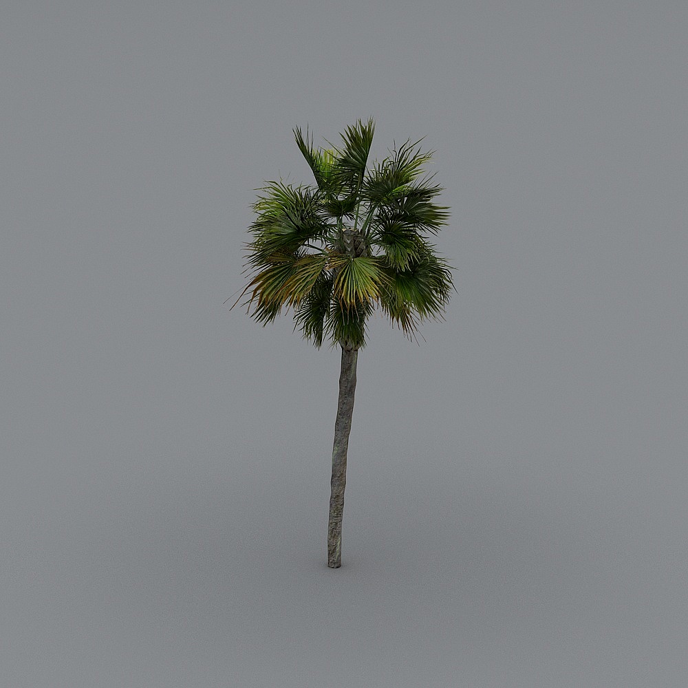 棕榈树3-KS3D模型
