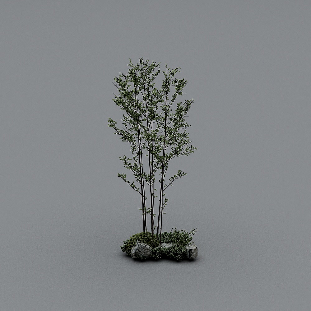 新中式园林景观小品-6-景观树组合3D模型