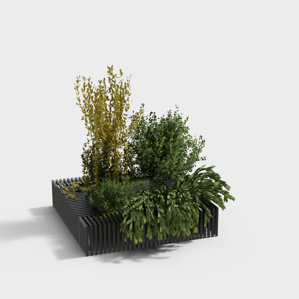 现代绿植花坛