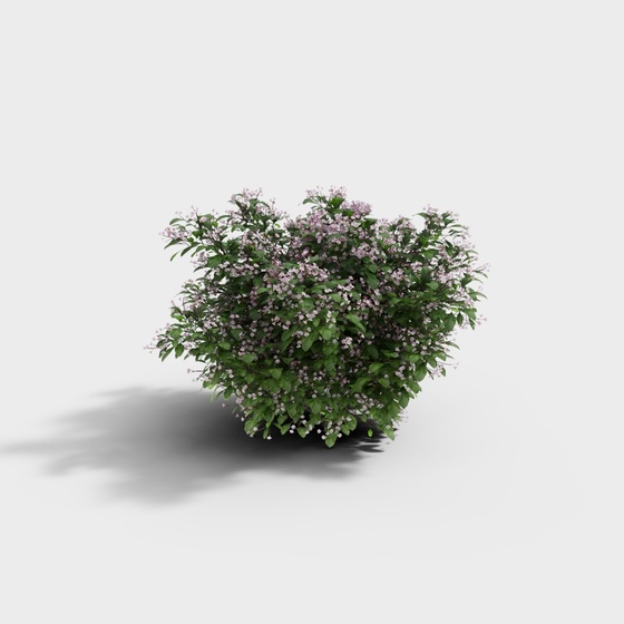 Landscape Shrub 2 Precision Model-BS