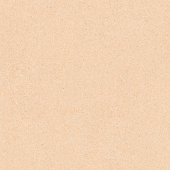 Wood Color Microcement Wheat Paint 3D Model