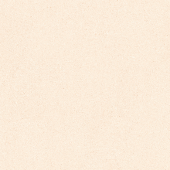 Microcement Wheat Color WSN-RS09-4 3D Model