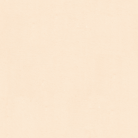 Microcement Wheat Color WSN-RS09-3 for Modern Walls