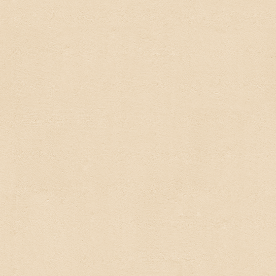 Microcement Tan WSN-RS07-1 3D Model for Stylish Walls