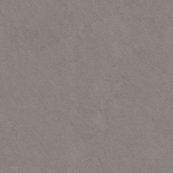 Carpoly Favito P211 3D Model in Brown