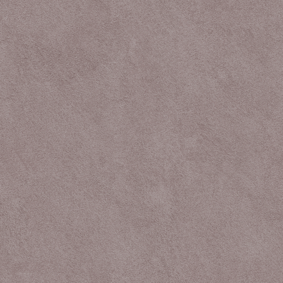 Gray Wall Paint 3D Model for Sophisticated Designs