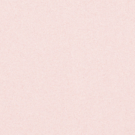 Pink Wall Paint 3D Model - Carpoly Torino Velvet 16