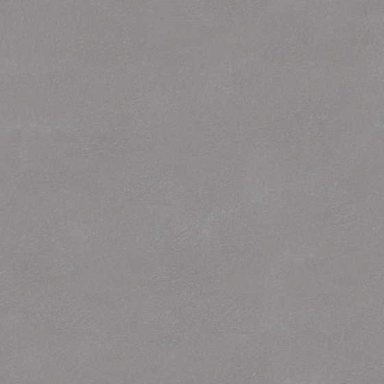 Gray Garpoly Viffertino Brush 213 B98 67 for Wall Paint