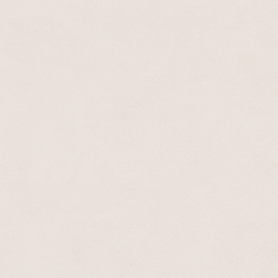 Carpoly Microcement MS-02 in Earth Color for Textures