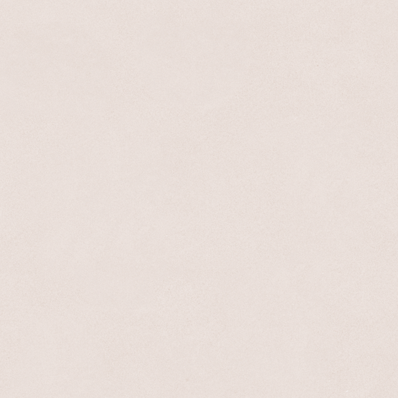 Carpoly Microcement MS-09 3D Model in Earth Color