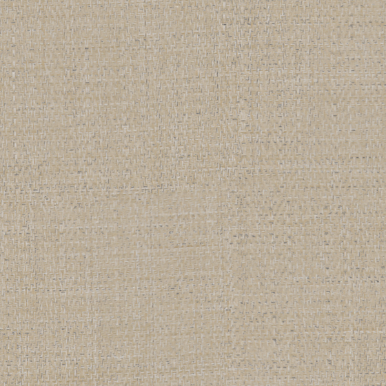Earth Color Bru Buru Soft Material 3D Model