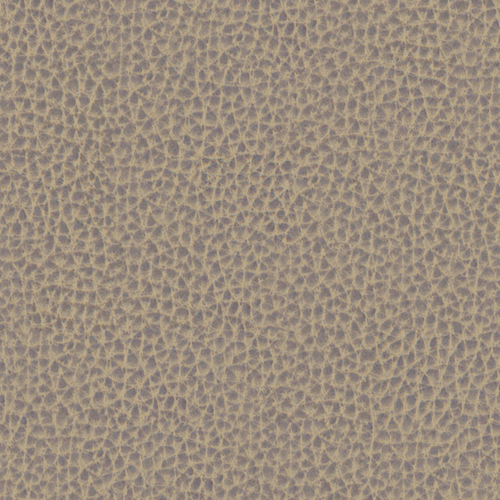 Soft Gray Artificial Leather 3D Model
