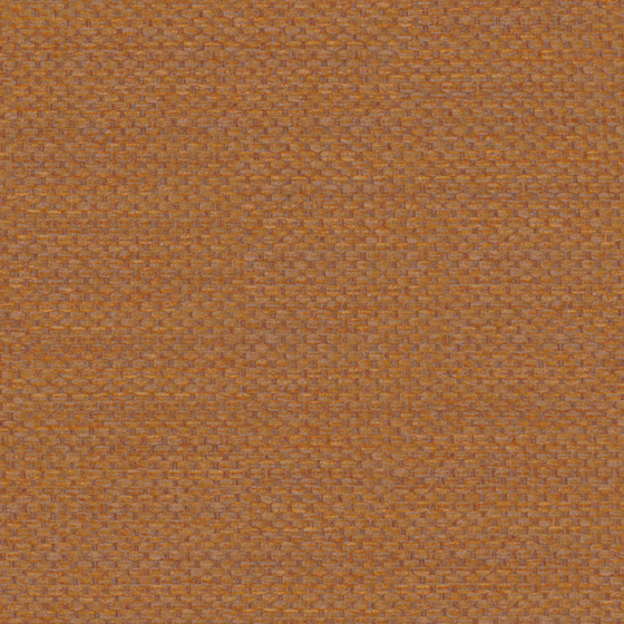 Bru Buru Plain Orange Semi-Shading RE-Store 3D Model in Brown